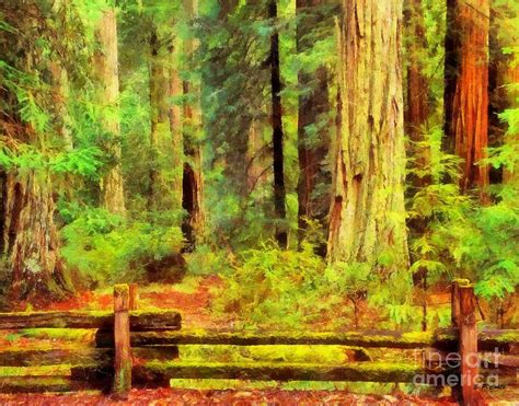 Redwood Forest Painting By Elizabeth Coats Fine Art America