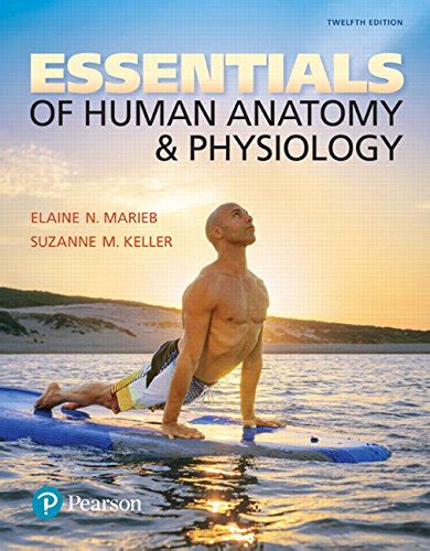 Essentials Of Human Anatomy And Physiology Plus Mastering Aandp With