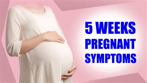 5 Weeks Pregnant Symptoms Early Signs Of Pregnancy Baby Size And 5