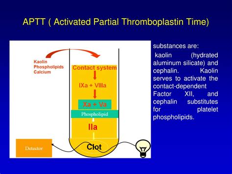 Ppt Lupus Anticoagulants Powerpoint Presentation Free Download Id