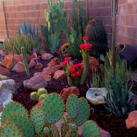 20 Stunning Front Yard Flower Garden Design Ideas Outdoor Cactus