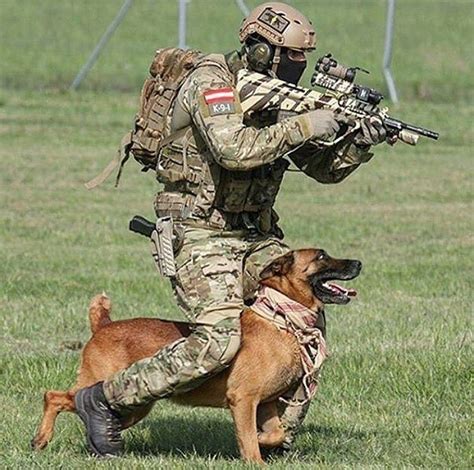 K 9 Unit Military Working Dogs Military Dogs Military Service Dogs