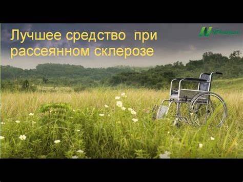 Рассеянный склероз диета Рассеянный склероз. Лучшее средство. Диета доктора Суонка. Обзор Рассеянный склероз. Лучшее средство. Диета доктора Суонка. Обзор Рассеянный склероз диета