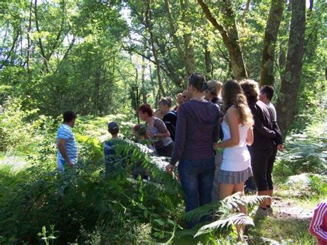 Balade Nature En Forêt Landaise à Bias Le 29082019 Tourisme Landes