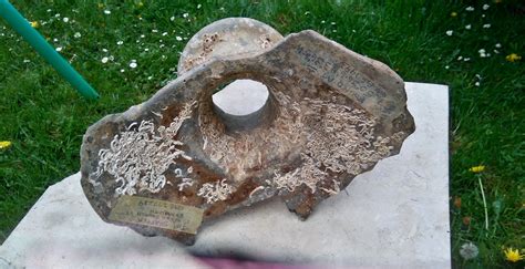 Starcross History Society Roman Amphora From 3 Fathoms In The Mouth Of