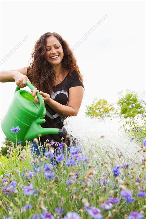 Young Woman Watering Flowers In Allotment Stock Image F0079565