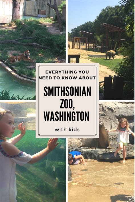 9 Fascinating National Zoo Facts Artofit