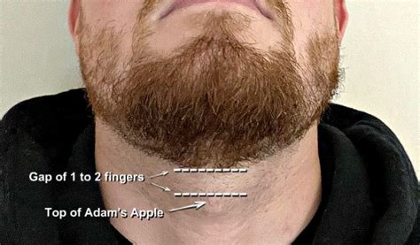 Beard Neckline How To Find Trim And Shape It At Home Guide