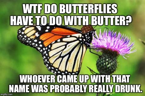 Butterfly Tatoo Memes Imgflip