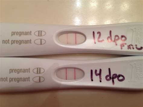 Your Frer Test Line At 15 Dpo Poll Babycenter