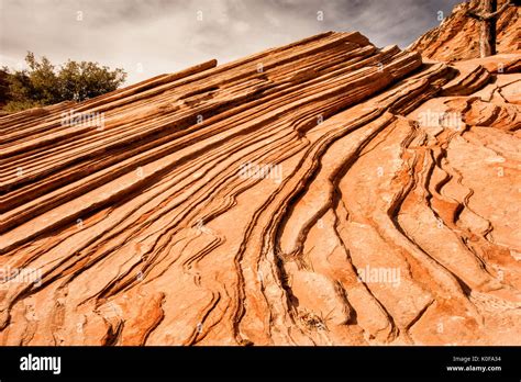 Sandstone Utah Zion Hi Res Stock Photography And Images Alamy