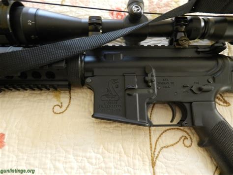 Rifles Bushmaster Ar 15 And Ruger 1022