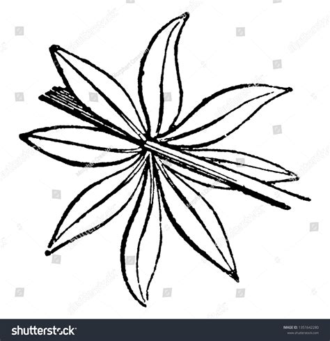 Morphology Most Angiosperm Flowers Based On Stock Vector Royalty Free