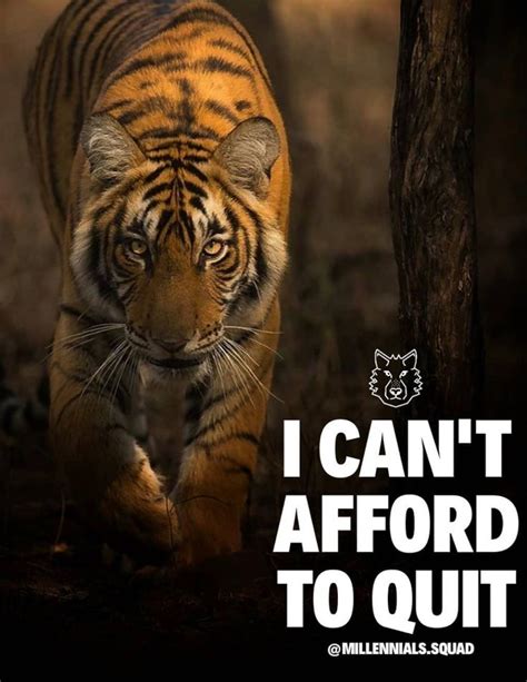 Pin By Sarah French On Tiger Quotes Tiger Quotes Warrior Quotes