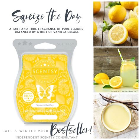 13 Squeeze The Day Scentsy Teresacharlie