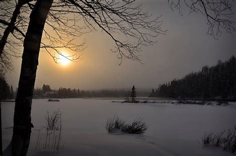 Free Images Tree Nature Branch Snow Cold Sky Fog Sunrise