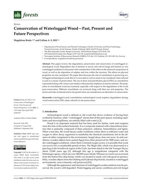 Pdf Conservation Of Waterlogged Woodpast Present And Future Perspectives