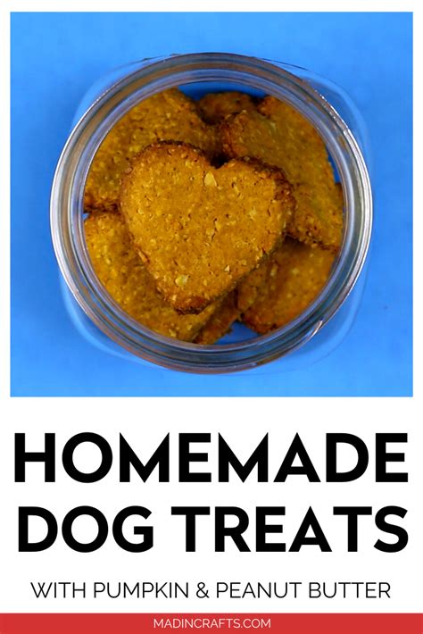 Homemade Pumpkin Dog Treats Crafts Mad In Crafts