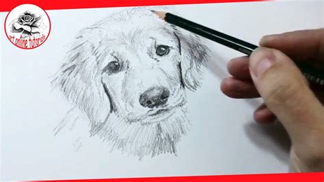 How To Draw With Pencil Tips Drawing Techniques Youtube