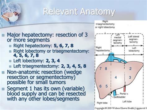Ppt Liver Resection Powerpoint Presentation Free Download Id2809783