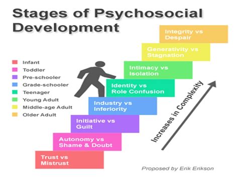 Erik erikson was an ego psychologist who developed one of the most popular and influential theories of development. Erik erikson stages of development