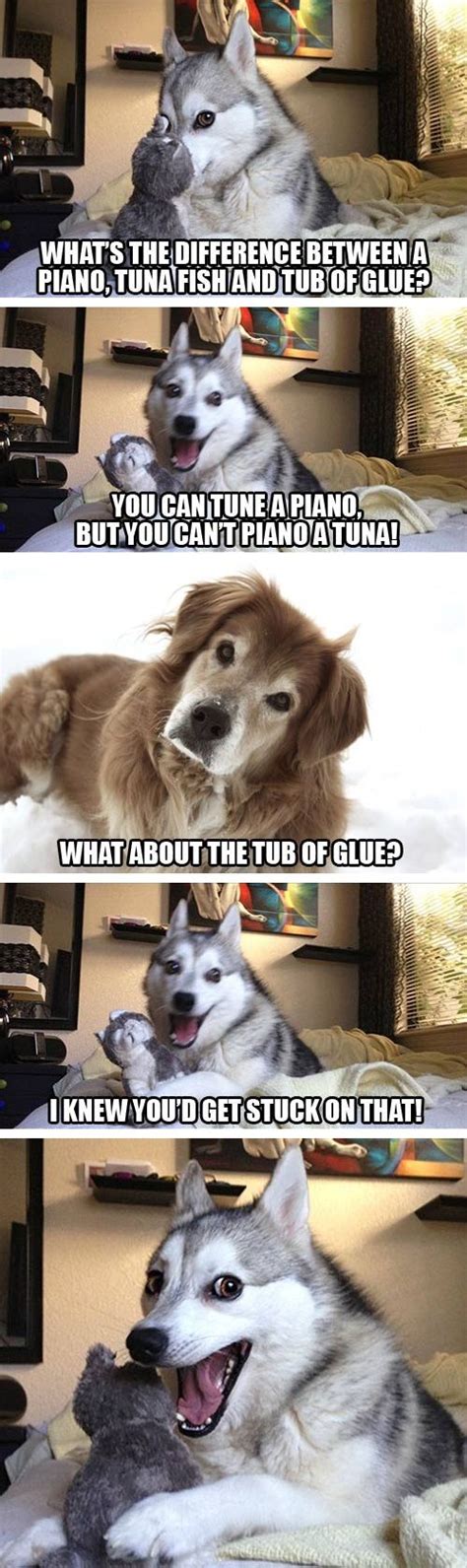 40 fat dog memes ranked in order of popularity and relevancy. Meme Watch: Pun Dog Isn't Fat, He's Just A Little Husky ...