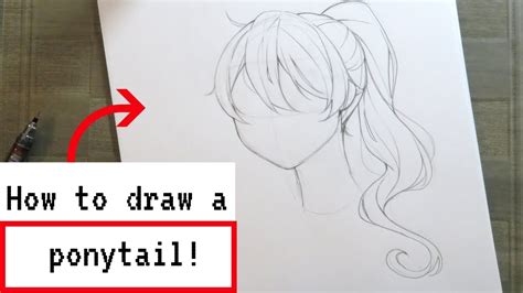 How To Draw Anime Hair Ponytail