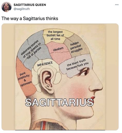 17 Funny Sagittarius Memes And Tweets Lets Eat Cake