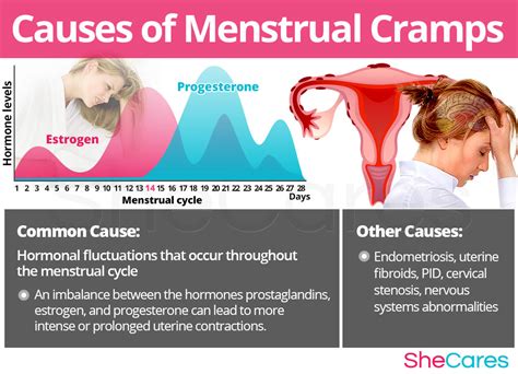 Understanding Menstrual Cramps Causes Types And Manag