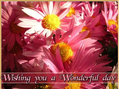 Wishing You A Wonderful Day Pictures Photos And Images For Facebook