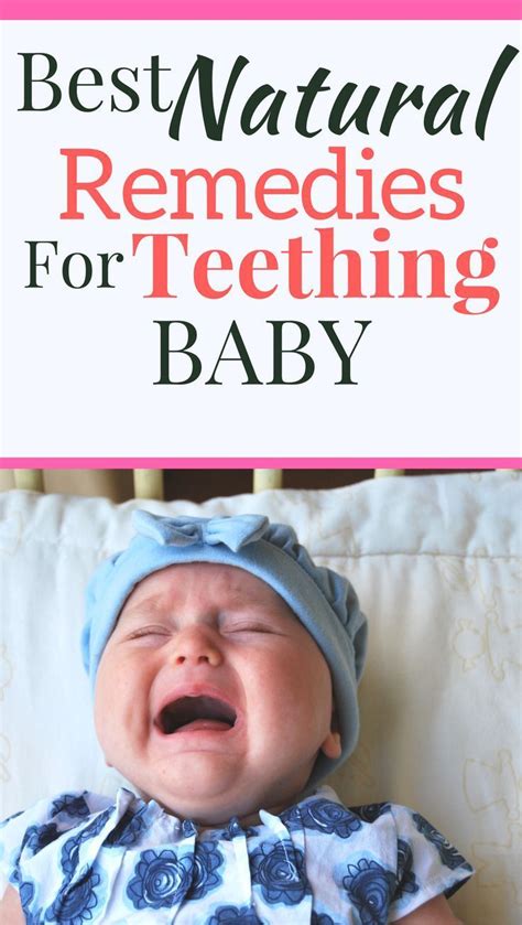 The Natural Remedy Guide For Teething Baby The Happy Herbal Home