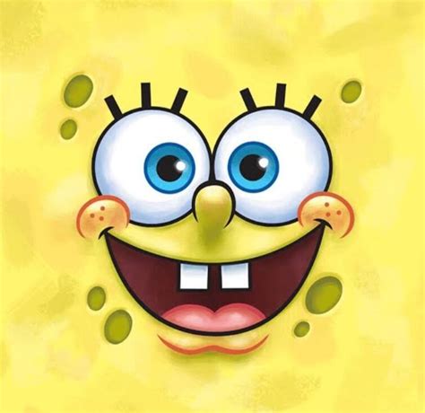 Discuss Everything About Bob Esponja Wiki Fandom