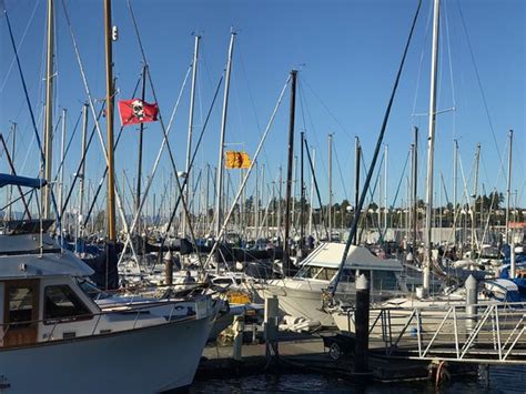Port Of Everett Marina 2020 All You Need To Know Before You Go With