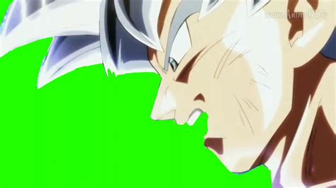 Goku Mastered Ultra Instinct Green Screen Youtube