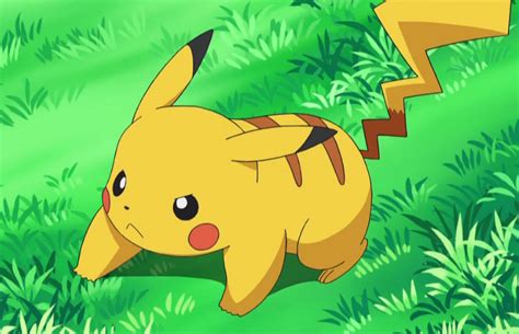 More images for show me a picture of pikachu » Pikachu | THE POKEMON SHOW Wiki | FANDOM powered by Wikia