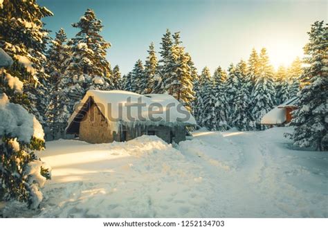 Mountain Hut Snowy Pine Forest Snowy Stock Photo Edit Now 1252134703