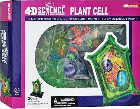 There are other distinct differences between plant and animal cells. PLANT CELL ANATOMY 4-D - The Toy Quest
