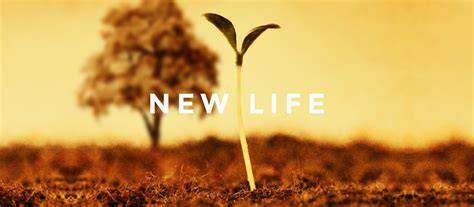 Live / nbc news now for sunday, december 6. King's Church London | New Life