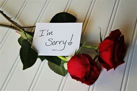 Roses To Say Im Sorry Sorry Images Im Sorry Ts Love You Images