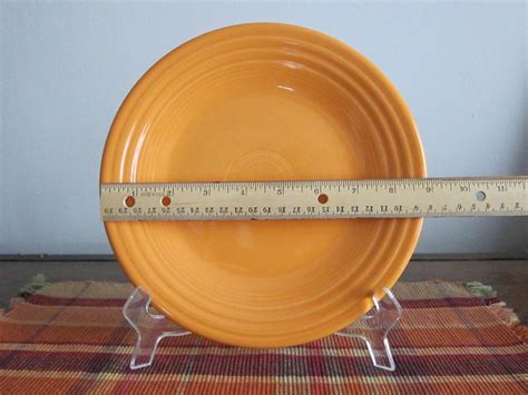 The 9 Inch Plate How Big Is Your Plate
