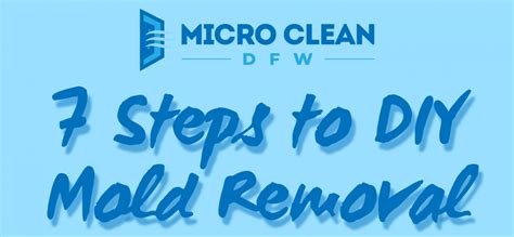 7 Steps To Diy Mold Removal Infographic Micro Clean Dfw