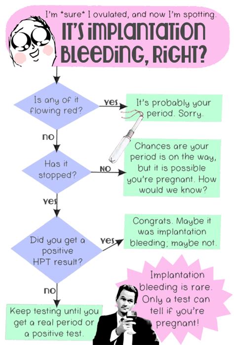Implantation Bleeding — The Bump
