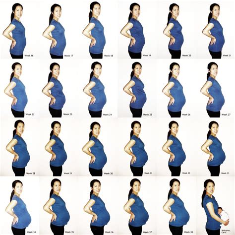 Живот при беременности: изменения, факторы, нормы размеров и отклонения