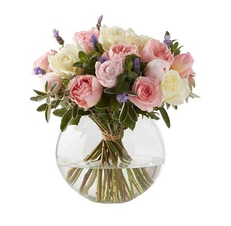 Shop flowers and plants at m&s. The best Mother's Day flowers from Marks & Spencer, Aldi ...