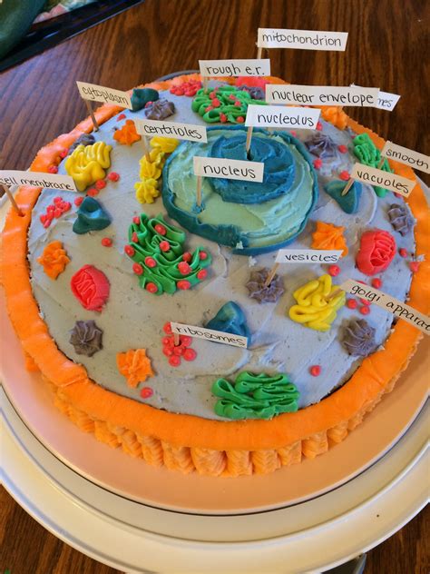 animal cell project made of cake … | Animal cell project, Cells project, Edible cell project