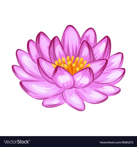 Lotus Flower Royalty Free Vector Image Vectorstock