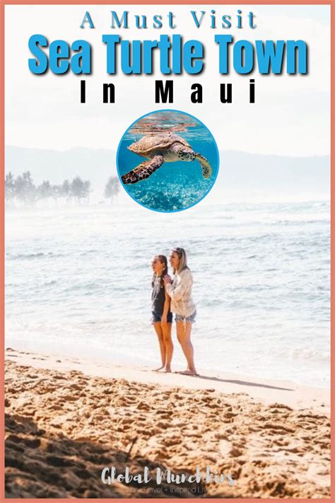 The Secret Turtle Town in Maui [A Must Visit] + It's Free!