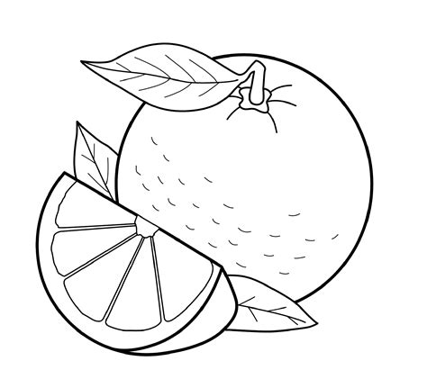 Hours of fun await you by coloring a free drawing nature fruit. Fruit Coloring Pages for Students | Fruit coloring pages ...