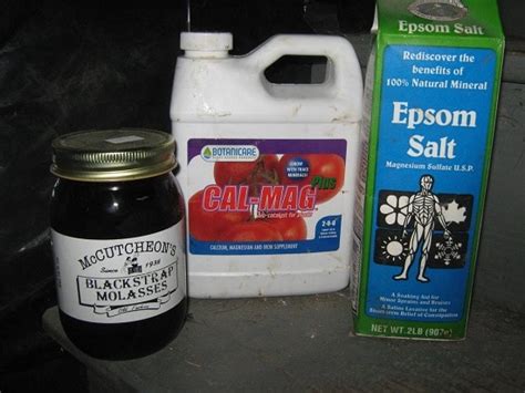 The best organic lawn fertilizer: 6 Effective Homemade Lawn Fertilizers That Are Safe From Hazardous Chemicals | Balcony Garden Web
