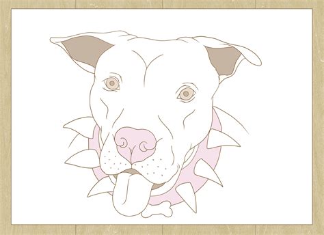 How To Draw A Pitbull With Pictures Wikihow